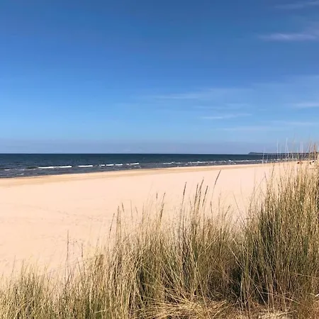 Semesterbostad Im Kiefernwald Direkt An Der Ostsee