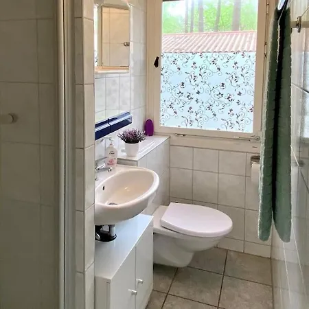 Tatil Evi Im Kiefernwald Direkt An Der Ostsee