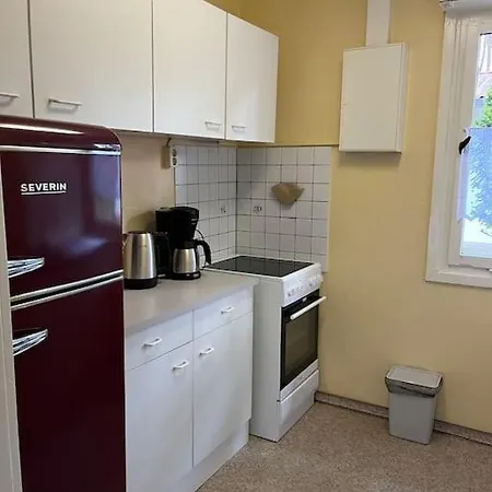 Im Kiefernwald Direkt An Der Ostsee *