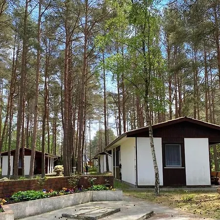 Im Kiefernwald Direkt An Der Ostsee Karlshagen