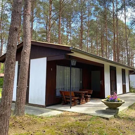Semesterbostad Im Kiefernwald Direkt An Der Ostsee