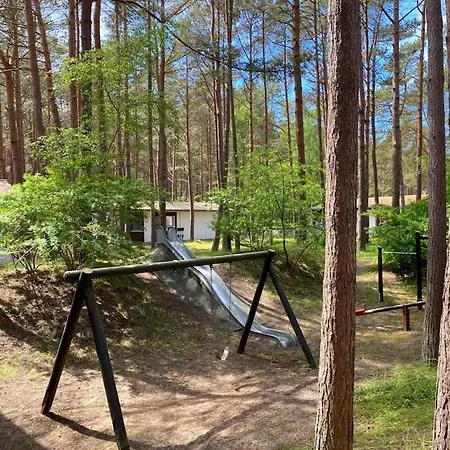 Semesterbostad Im Kiefernwald Direkt An Der Ostsee
