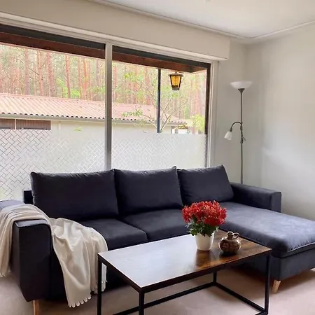 Im Kiefernwald Direkt An Der Ostsee *