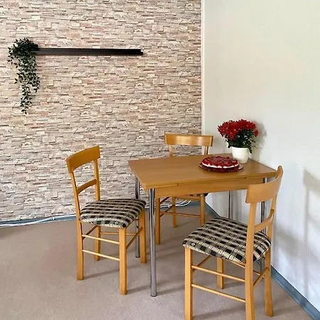 Im Kiefernwald Direkt An Der Ostsee