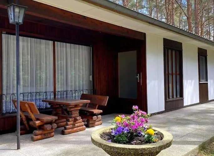 Im Kiefernwald Direkt An Der Ostsee *