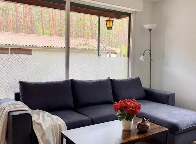 Im Kiefernwald Direkt An Der Ostsee *