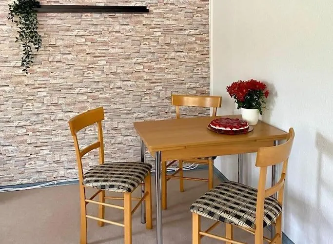 Im Kiefernwald Direkt An Der Ostsee