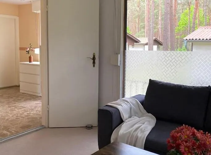 Im Kiefernwald Direkt An Der Ostsee * Karlshagen